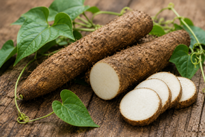 Wild Yam